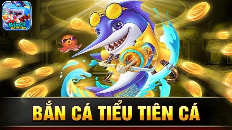 Bí quyết săn bắn cá tiểu tiên cá để trúng lớn